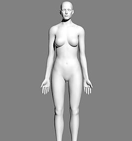 Female body 女人体基本模型