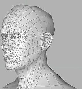 人头基本素模 head model