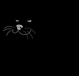 黑猫/加托黑人