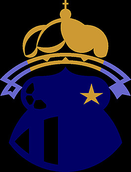 logo_frog_soccer_club