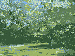 父母在密苏里的树林