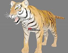 Tiger 森林之王-老虎 （写实风格，含贴图）