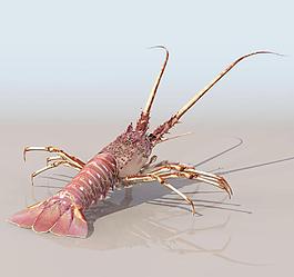 LOBSTER 龙虾模型01