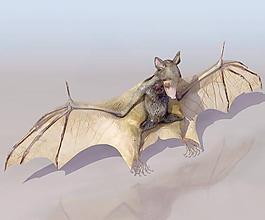 BAT（蝙蝠模型，带贴图）