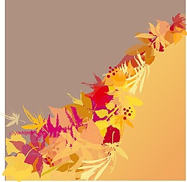 秋天的落叶背景