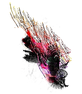 位图 插画 抽象动物 鹰 色彩 免费素材