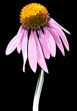 flower2
