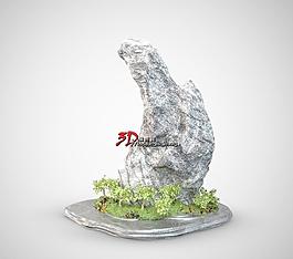 Bonsai Trees 01 假山盆栽