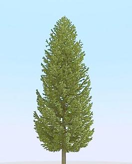 高精细冷杉树模型 fir 3_07
