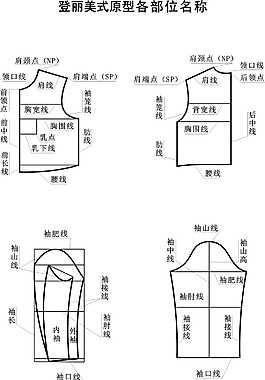 身体部位图片 身体部位素材 身体部位模板免费下载 六图网