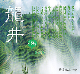 梯田茶林设计海报