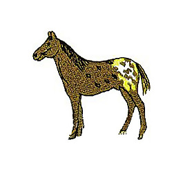 绣花 马 花纹 免费素材