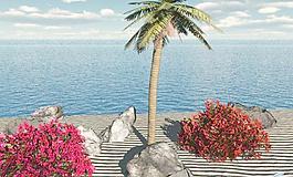 海边场景Beach palm tree scene