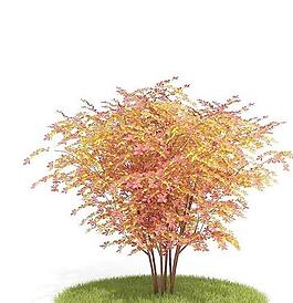Tree 树014