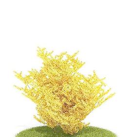 Tree 树011