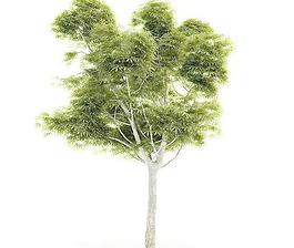 Tree 树01