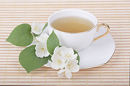 茶白色杯