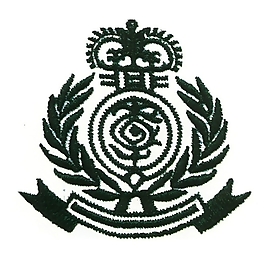 绣花 色彩 单色 青色 图标 免费素材