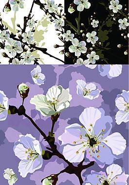 灿烂花枝矢量素材