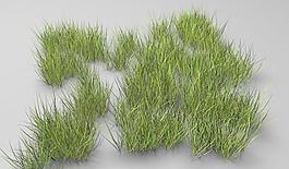 Grass 草丛 C4D