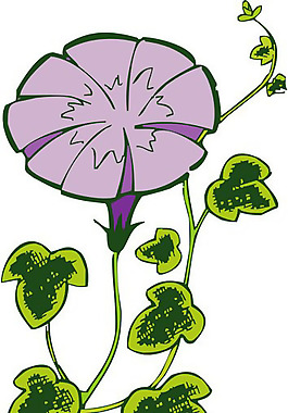 位图 优雅植物 色彩 紫色 绿色 免费素材