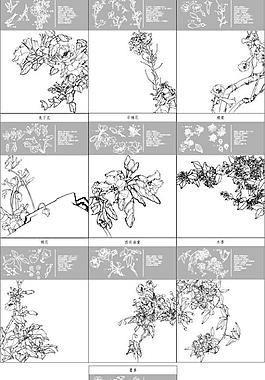 图中国传统工笔画笔法细腻，注重细节5