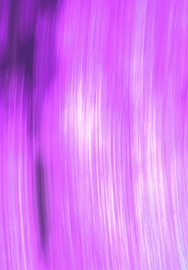 紫色背景