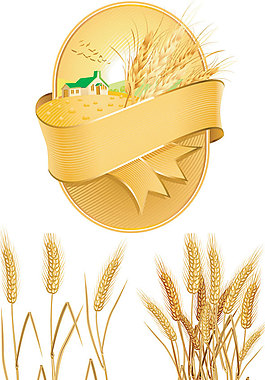 金色麦穗矢量素材