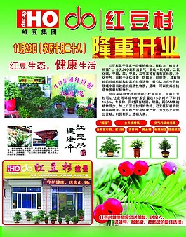 红豆杉开业海报