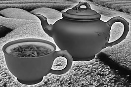灰度茶园