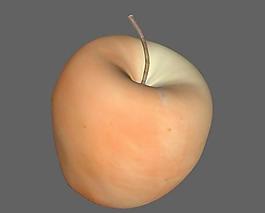 Apple苹果