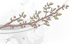 画花卉背景矢量插画