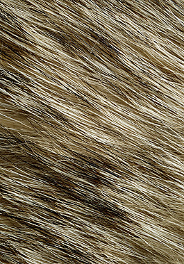 实物面料 动物皮纹 免费素材