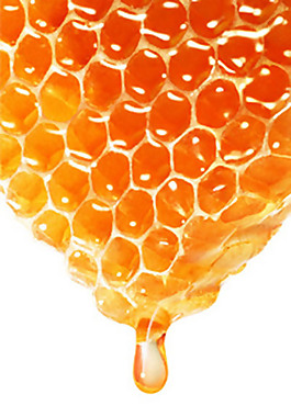 蜂腊化妆品展板设计