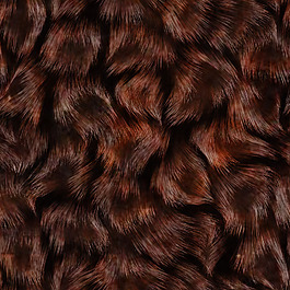 实物面料 动物皮纹 免费素材