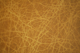 实物面料 动物皮纹 免费素材
