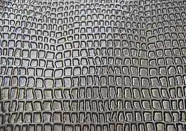 实物面料 动物皮纹 免费素材