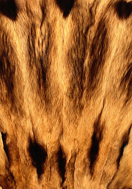 实物面料 动物皮纹 免费素材