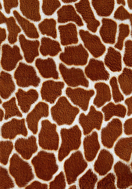 实物面料 动物皮纹 免费素材