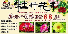 洛阳牡丹一日游