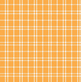 实物面料 梭织 格纹 免费素材