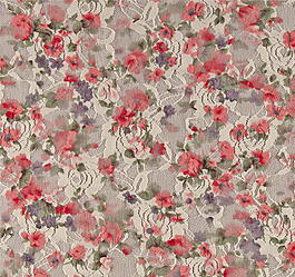 实物面料 蕾丝 印花 免费素材