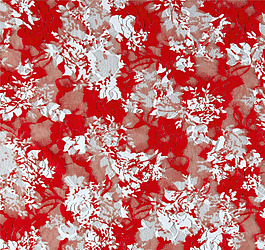 实物面料 蕾丝 印花 免费素材