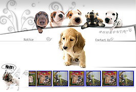 小狗狗类型的旺铺促销模板