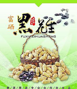 农业花生展板图片