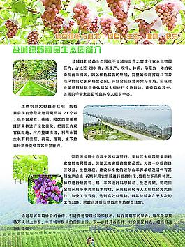 生态农业图片