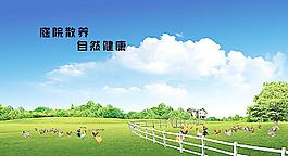 养鸡场图片
