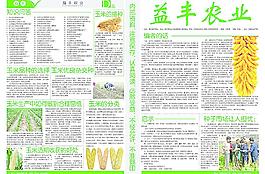 农业玉米报纸模板图片