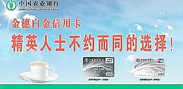 农业银行金穗白金卡图片