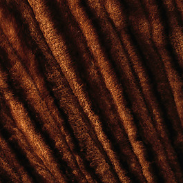 实物面料 动物皮纹 免费素材